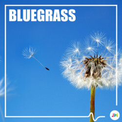Bluegrass JW2290