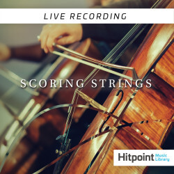 Scoring Strings HPM4257