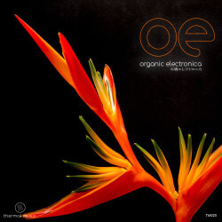 Organic Electronica TM020