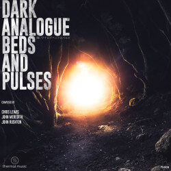 Dark Analogue Beds and Pulses TM028