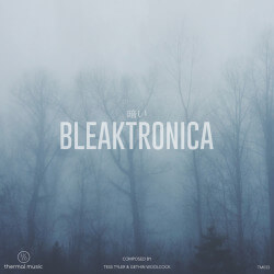 Bleaktronica TM033