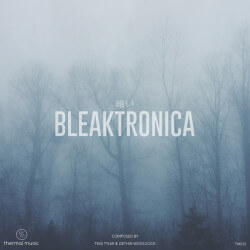 Bleaktronica TM033