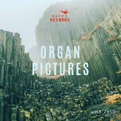 Organ Pictures HR2350