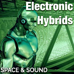 Electronic Hybrids SSM0114