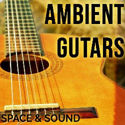 Ambient Guitars SSM0097