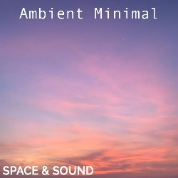 Ambient Minimal SSM0096