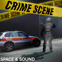 Crime Scene Vol 1 SSM0025