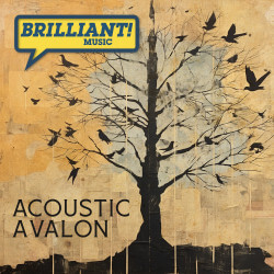 Acoustic Avalon BM157