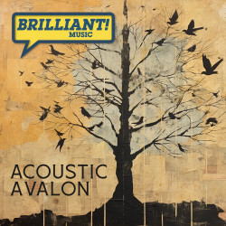 BM157: Acoustic Avalon