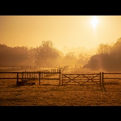 Sunrise XSR026