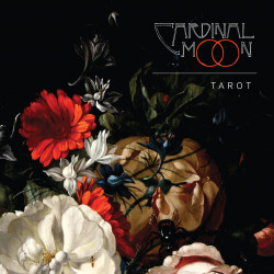 Tarot XSR033