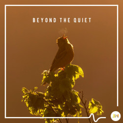 Beyond The Quiet JW2355