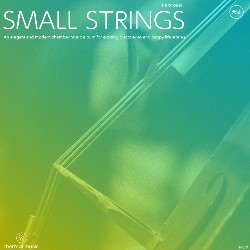Small Strings TM073