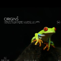 TM076: Origins