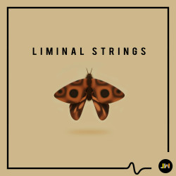 JW2375: Liminal Strings