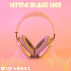 SSMVOX031: Little Black Lies