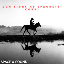 SSM0280: Gun Fight At Spaghetti Coral