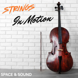 Album anzeigen SSM0288: Strings in Motion