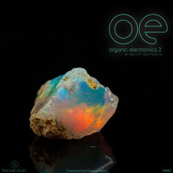 Show album TM093: Organic Electronica 2