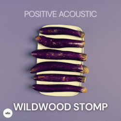 Wildwood Stomp AS-114