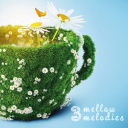 3 Mellow Melodies JW2229