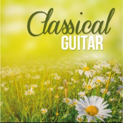 Classical Guitar JW2219
