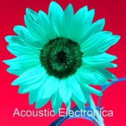 Acoustic Electronica JW2195