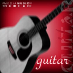 Guitar JW2025