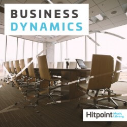 Business Dynamics HPM4148