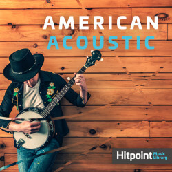 American Acoustic HPM4221