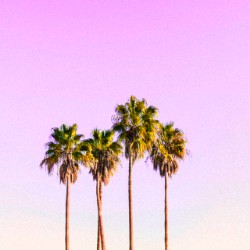Summer 2019