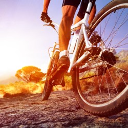 Sports - Dynamic